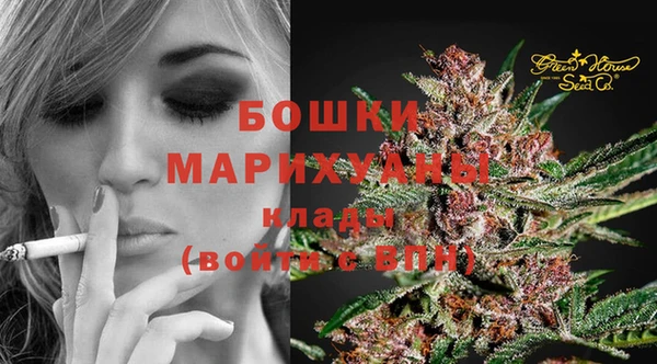гидропоника Видное