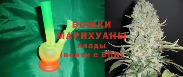 не бодяженный Осташков