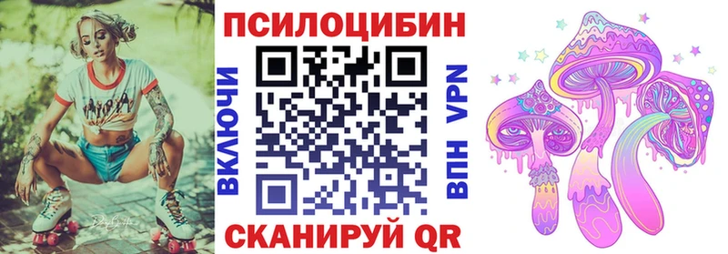 ссылка на мегу онион  Старая Купавна  Галлюциногенные грибы Magic Shrooms  магазин продажи  