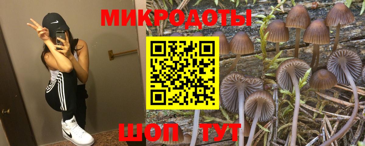 Галлюциногенные грибы GOLDEN TEACHER Старая Купавна