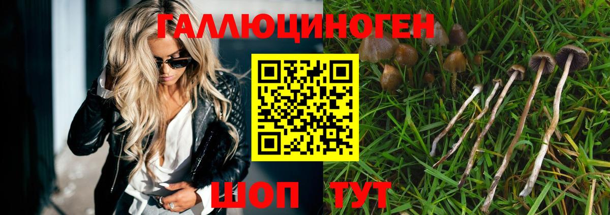 Галлюциногенные грибы MAGIC MUSHROOMS Старая Купавна
